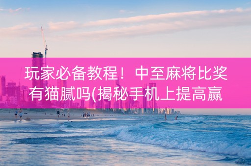 玩家必备教程！中至麻将比奖有猫腻吗(揭秘手机上提高赢的概率)