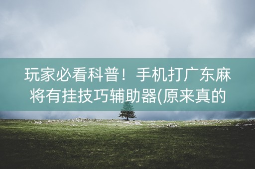 玩家必看科普！手机打广东麻将有挂技巧辅助器(原来真的有挂)