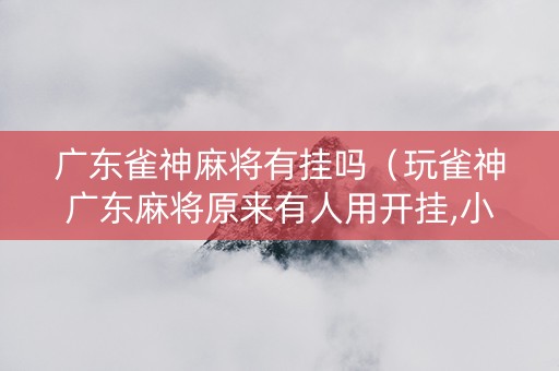 广东雀神麻将有挂吗（玩雀神广东麻将原来有人用开挂,小心有炸!）