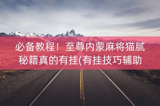 必备教程！至尊内蒙麻将猫腻秘籍真的有挂(有挂技巧辅助器)