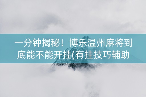 一分钟揭秘！博乐温州麻将到底能不能开挂(有挂技巧辅助器)