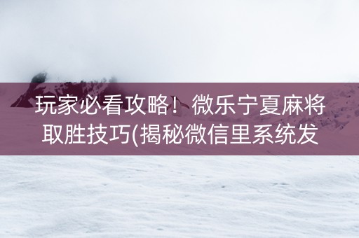 玩家必看攻略！微乐宁夏麻将取胜技巧(揭秘微信里系统发好牌)