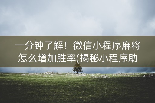 一分钟了解！微信小程序麻将怎么增加胜率(揭秘小程序助赢神器)