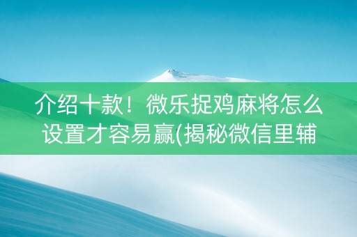 介绍十款！微乐捉鸡麻将怎么设置才容易赢(揭秘微信里辅牌器)