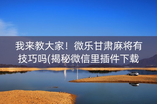 我来教大家！微乐甘肃麻将有技巧吗(揭秘微信里插件下载)