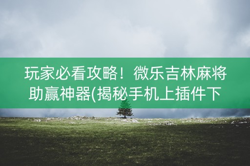 玩家必看攻略！微乐吉林麻将助赢神器(揭秘手机上插件下载)