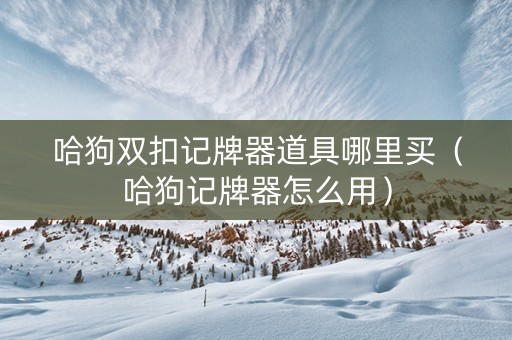 哈狗双扣记牌器道具哪里买（哈狗记牌器怎么用）