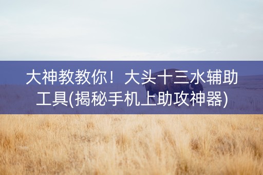 大神教教你！大头十三水辅助工具(揭秘手机上助攻神器)