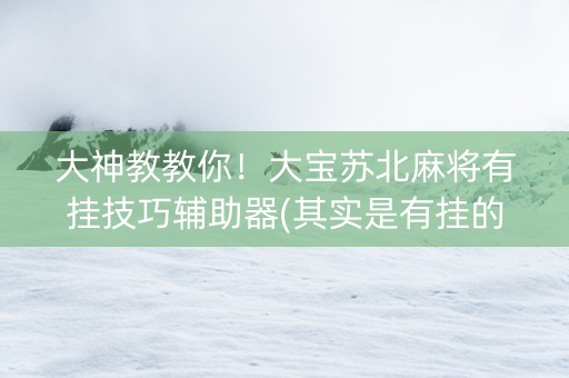 大神教教你！大宝苏北麻将有挂技巧辅助器(其实是有挂的)