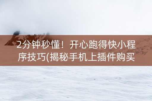 2分钟秒懂！开心跑得快小程序技巧(揭秘手机上插件购买)