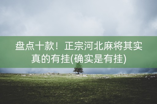 盘点十款！正宗河北麻将其实真的有挂(确实是有挂)