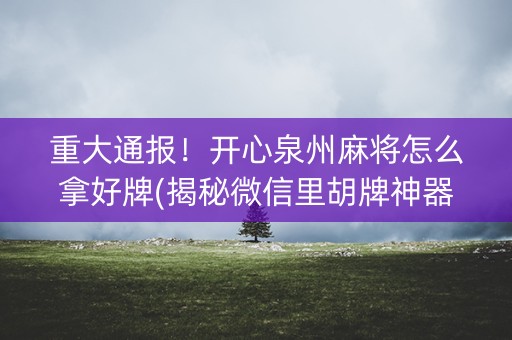 重大通报！开心泉州麻将怎么拿好牌(揭秘微信里胡牌神器)