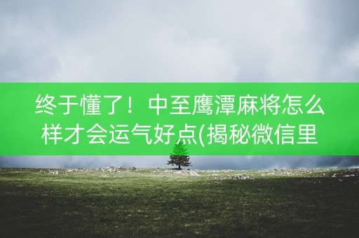终于懂了！中至鹰潭麻将怎么样才会运气好点(揭秘微信里输赢技巧)
