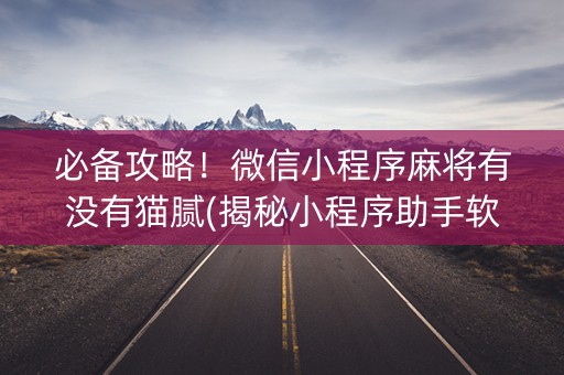 必备攻略！微信小程序麻将有没有猫腻(揭秘小程序助手软件)