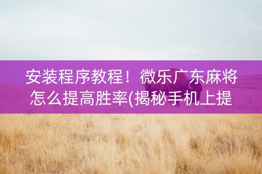 安装程序教程！微乐广东麻将怎么提高胜率(揭秘手机上提高胜率)