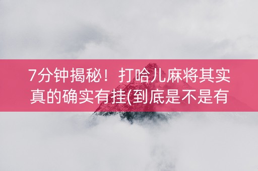 7分钟揭秘！打哈儿麻将其实真的确实有挂(到底是不是有挂)