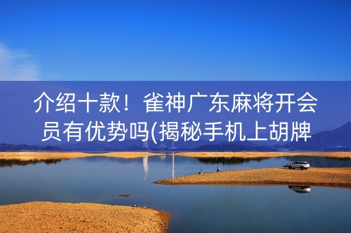 介绍十款！雀神广东麻将开会员有优势吗(揭秘手机上胡牌技巧)