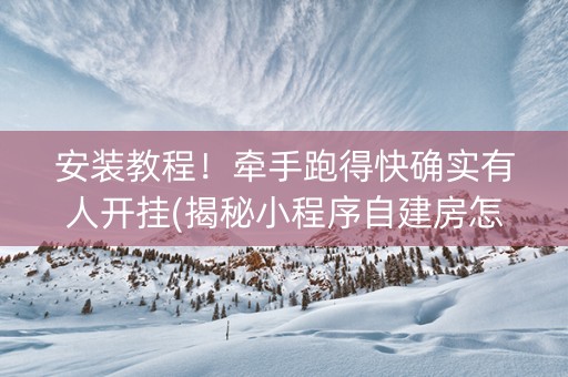 安装教程！牵手跑得快确实有人开挂(揭秘小程序自建房怎么赢)