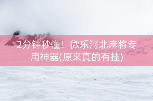 2分钟秒懂！微乐河北麻将专用神器(原来真的有挂)