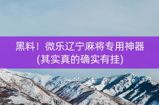 黑料！微乐辽宁麻将专用神器(其实真的确实有挂)