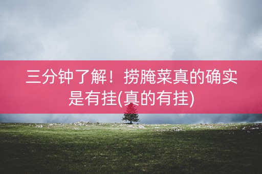 三分钟了解！捞腌菜真的确实是有挂(真的有挂)