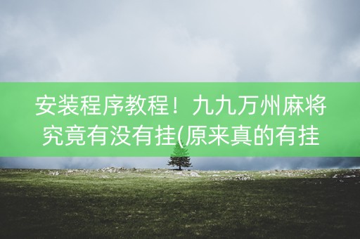 安装程序教程！九九万州麻将究竟有没有挂(原来真的有挂)