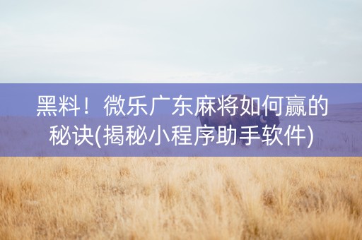 黑料！微乐广东麻将如何赢的秘诀(揭秘小程序助手软件)