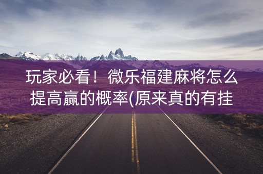 玩家必看！微乐福建麻将怎么提高赢的概率(原来真的有挂)