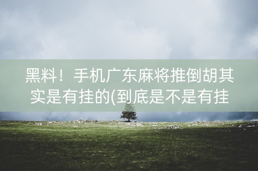 黑料！手机广东麻将推倒胡其实是有挂的(到底是不是有挂)