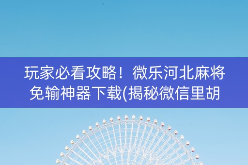 玩家必看攻略！微乐河北麻将免输神器下载(揭秘微信里胡牌神器)