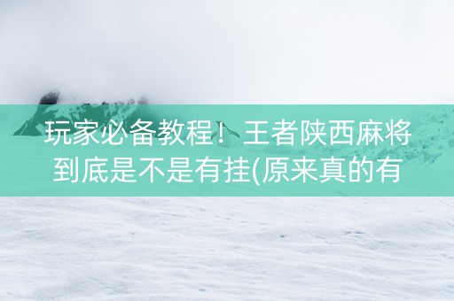 玩家必备教程！王者陕西麻将到底是不是有挂(原来真的有挂)