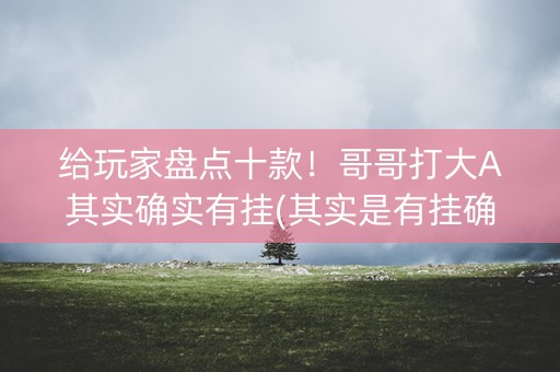 给玩家盘点十款！哥哥打大A其实确实有挂(其实是有挂确实有挂)