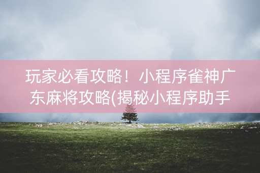 玩家必看攻略！小程序雀神广东麻将攻略(揭秘小程序助手软件)
