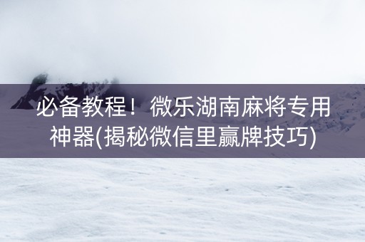 必备教程！微乐湖南麻将专用神器(揭秘微信里赢牌技巧)