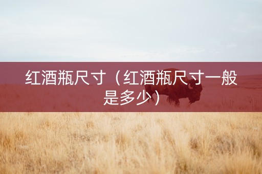 红酒瓶尺寸（红酒瓶尺寸一般是多少）