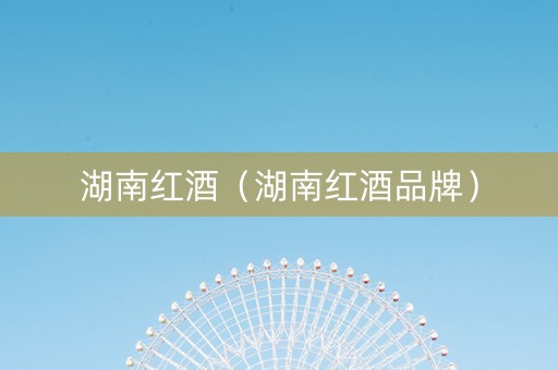 湖南红酒（湖南红酒品牌）