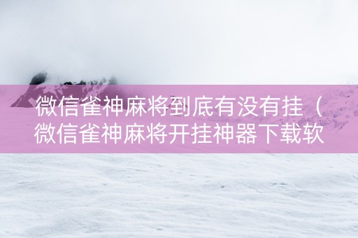微信雀神麻将到底有没有挂（微信雀神麻将开挂神器下载软件）
