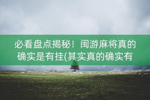 必看盘点揭秘！闽游麻将真的确实是有挂(其实真的确实有挂)