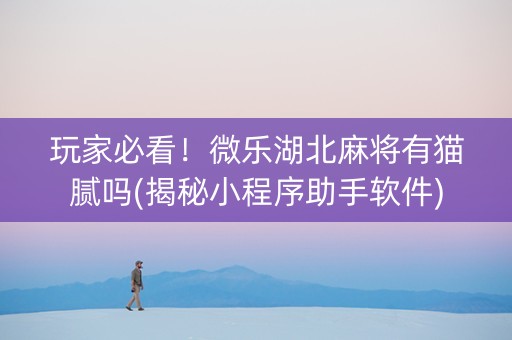 玩家必看！微乐湖北麻将有猫腻吗(揭秘小程序助手软件)