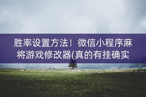 胜率设置方法！微信小程序麻将游戏修改器(真的有挂确实有挂)