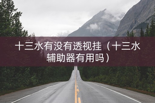 十三水有没有透视挂（十三水辅助器有用吗）