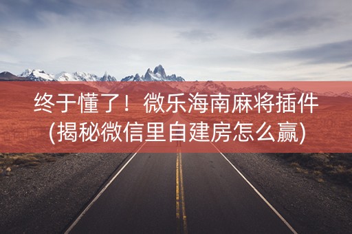 终于懂了！微乐海南麻将插件(揭秘微信里自建房怎么赢)