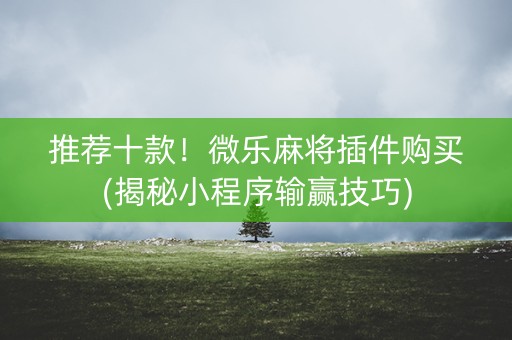 推荐十款！微乐麻将插件购买(揭秘小程序输赢技巧)
