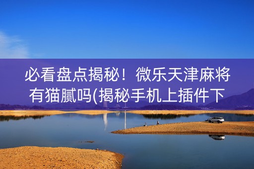 必看盘点揭秘！微乐天津麻将有猫腻吗(揭秘手机上插件下载)