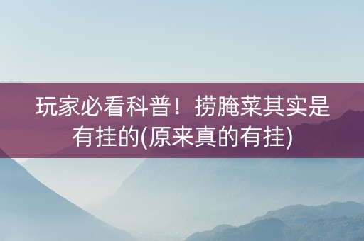 玩家必看科普！捞腌菜其实是有挂的(原来真的有挂)