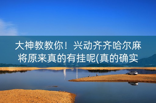 大神教教你！兴动齐齐哈尔麻将原来真的有挂呢(真的确实是有挂)