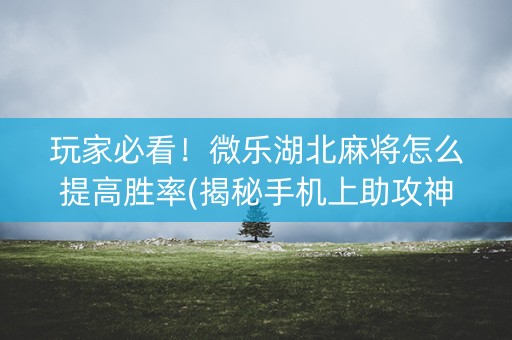 玩家必看！微乐湖北麻将怎么提高胜率(揭秘手机上助攻神器)