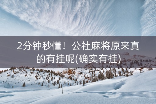 2分钟秒懂！公社麻将原来真的有挂呢(确实有挂)