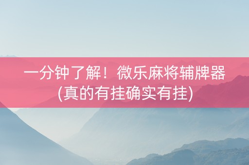 一分钟了解！微乐麻将辅牌器(真的有挂确实有挂)