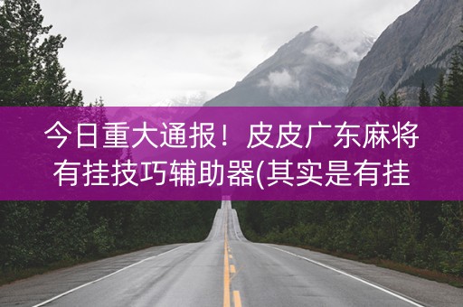 今日重大通报！皮皮广东麻将有挂技巧辅助器(其实是有挂的)